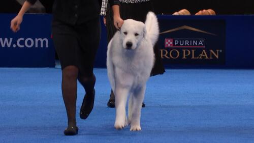 李静会见赞比亚青年、体育与艺术部长恩坎杜